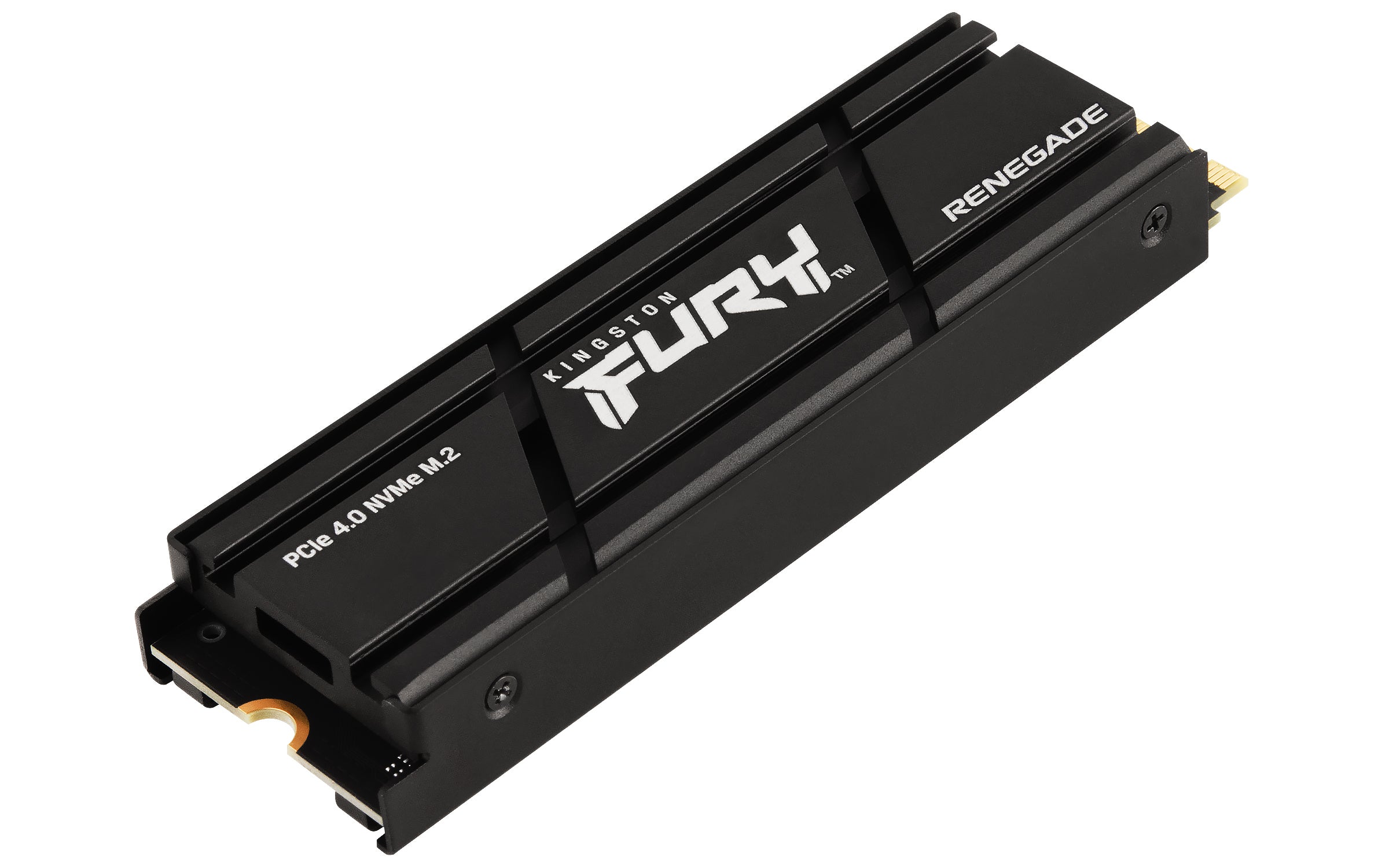 Kingston Technology 1000G RENEGADE PCIe 4.0 NVMe SSD W/ HEATSINK (SFYRSK/1000G)