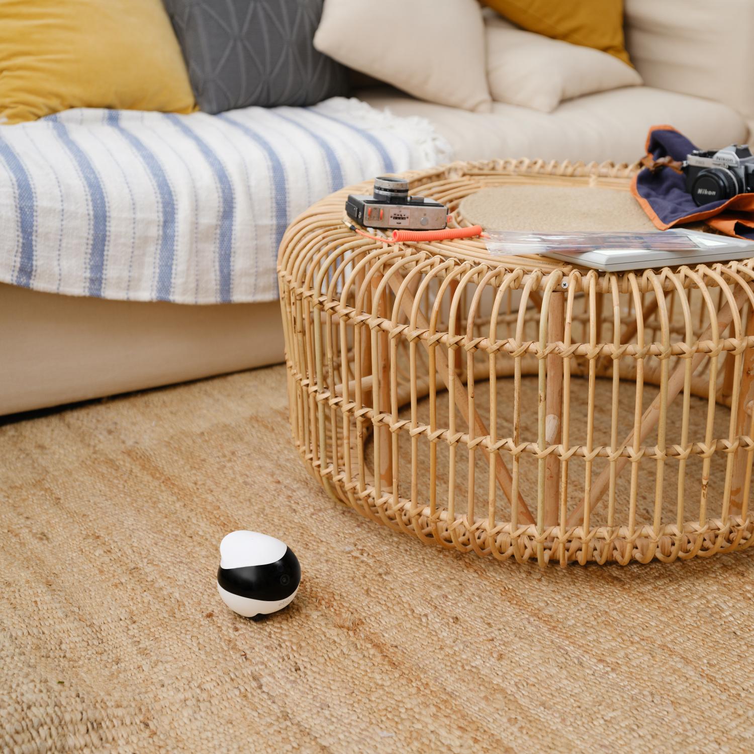 Enabot EBO SE Smart Home Robot