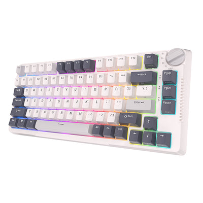 Royal Kludge RK H81 Tri-Mod RGB Hot-Swap Bežična Mehanička Tastatura White Night, Braon Prekidač