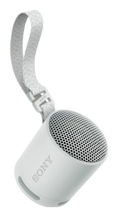 Sony SRS-XB100H (sivi)