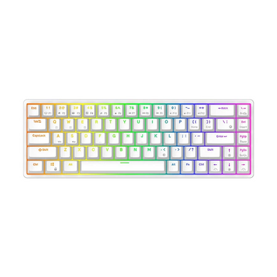 Royal Kludge RK G68 Tri-Mod RGB Hot-Swap Gejmerska Tastatura Bela, Braon Prekidač