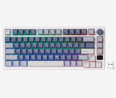 Royal Kludge RK M75 Tri-Mod RGB Hot-Swap Mehanička Tastatura sa Displejom Ocean Blue, Braon Prekidač