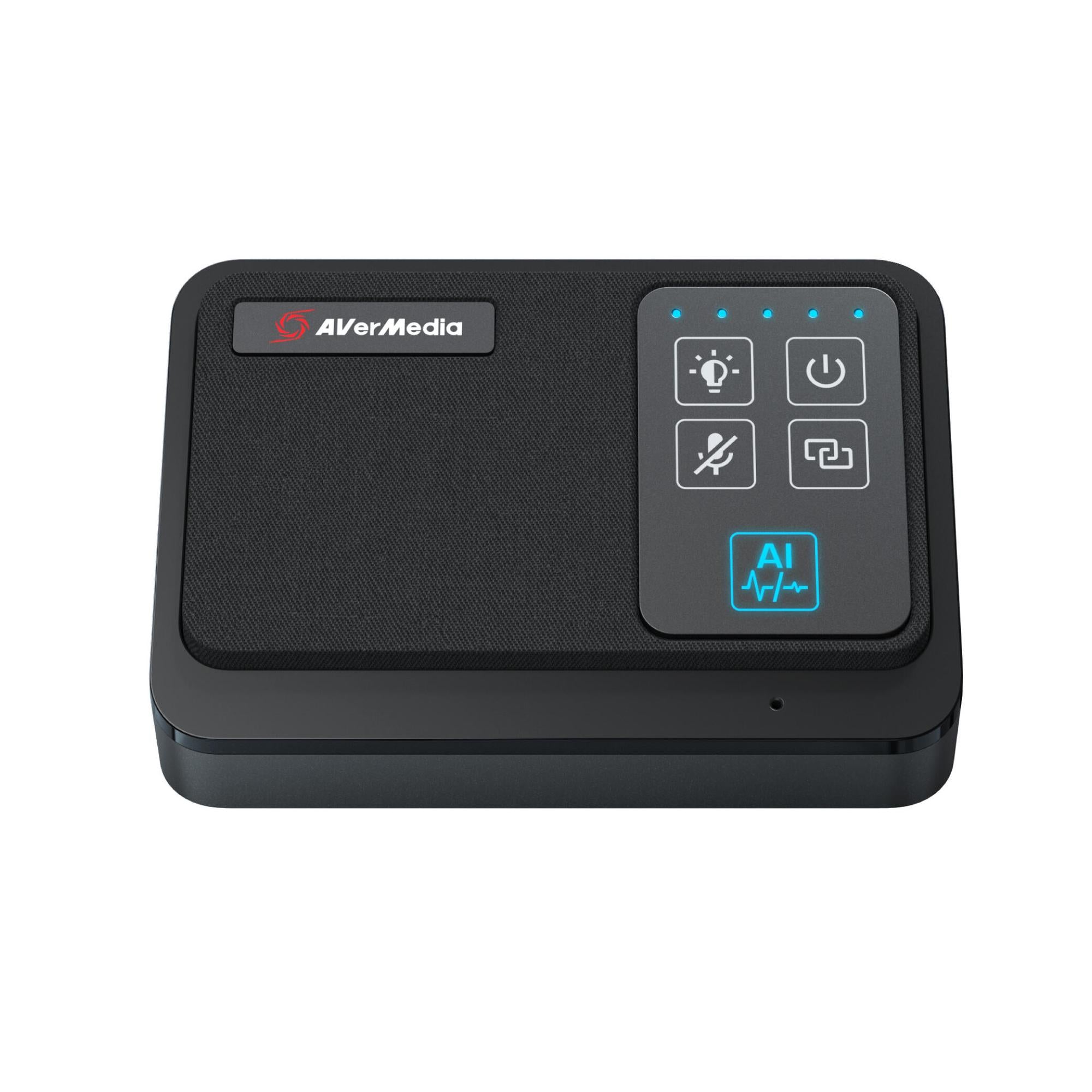 AVerMedia Microphone AW111 (61AW111000AB) Black Doppelpack