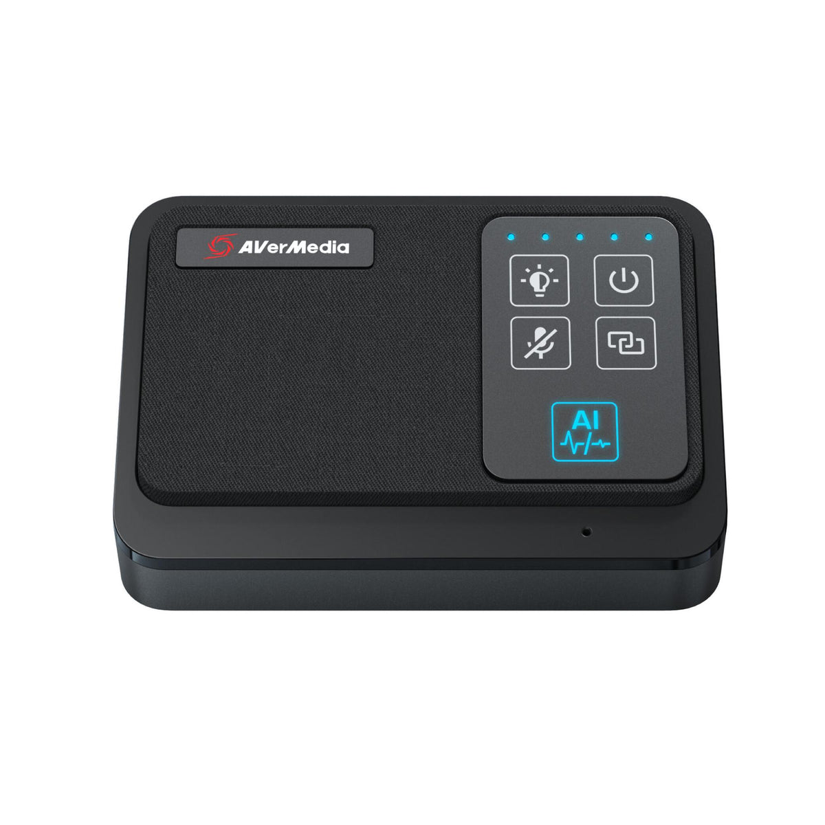 AVerMedia Microphone AW111 (61AW111000AB) Black Doppelpack