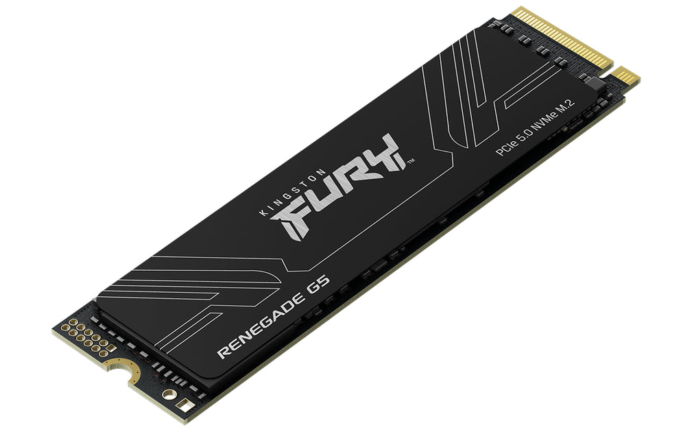 Kingston Technology 4T FURY RENEGADE G5 M.2 2280 NVMe SSD (SFYR2S/4T0)