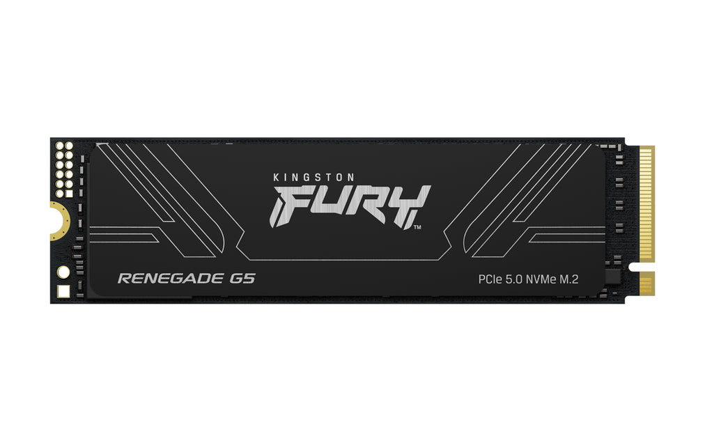 Kingston Technology 4T FURY RENEGADE G5 M.2 2280 NVMe SSD (SFYR2S/4T0)