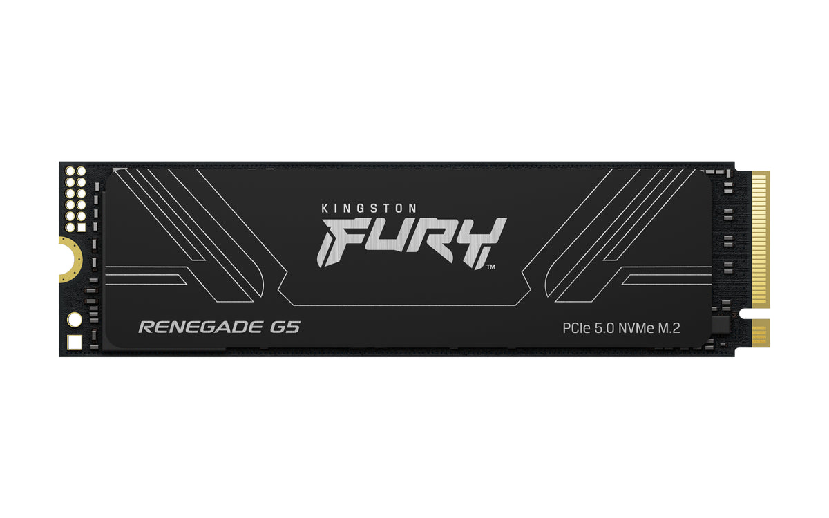 Kingston Technology 4T FURY RENEGADE G5 M.2 2280 NVMe SSD (SFYR2S/4T0)