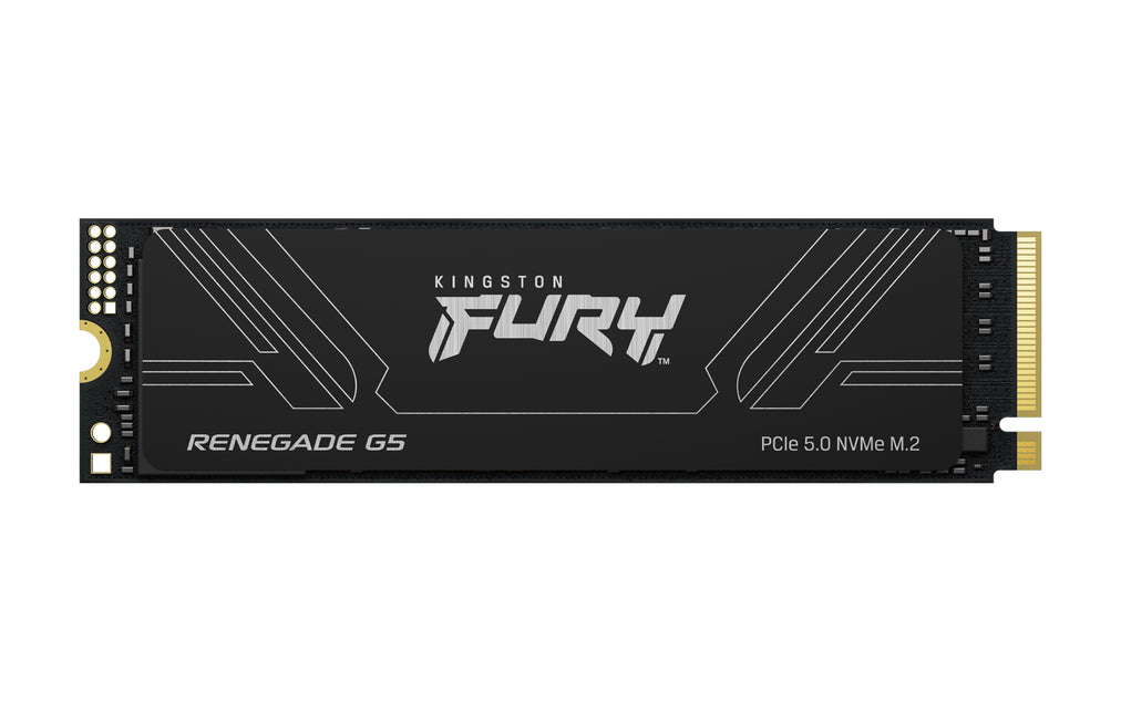 Kingston Technology 8T FURY RENEGADE G5 M.2 2280 NVMe SSD (SFYR2D/8T1)