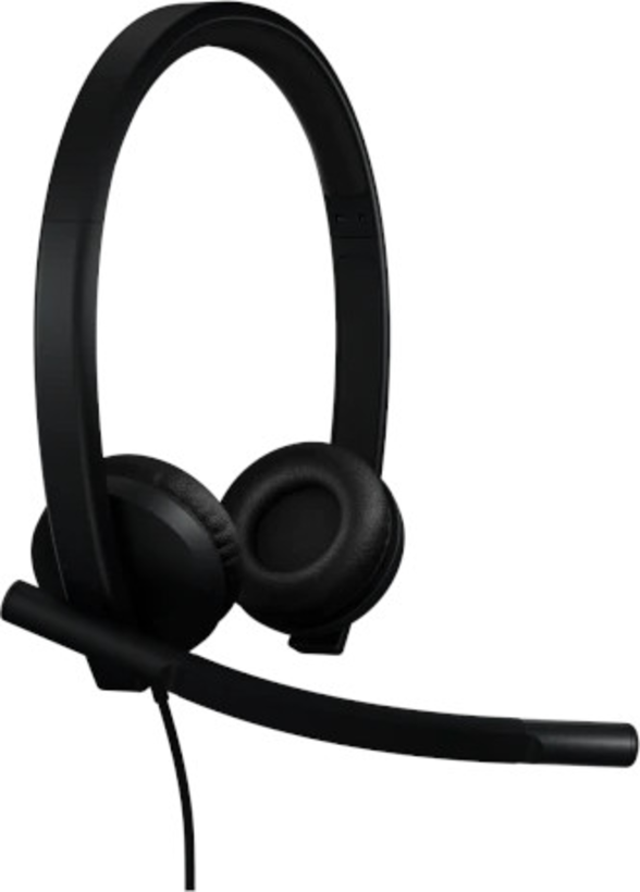 Logitech H570e