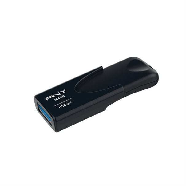 PNY USB3.1 256GB black Retail