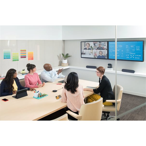 Logitech Webcam RALLY Speaker Expansion, black