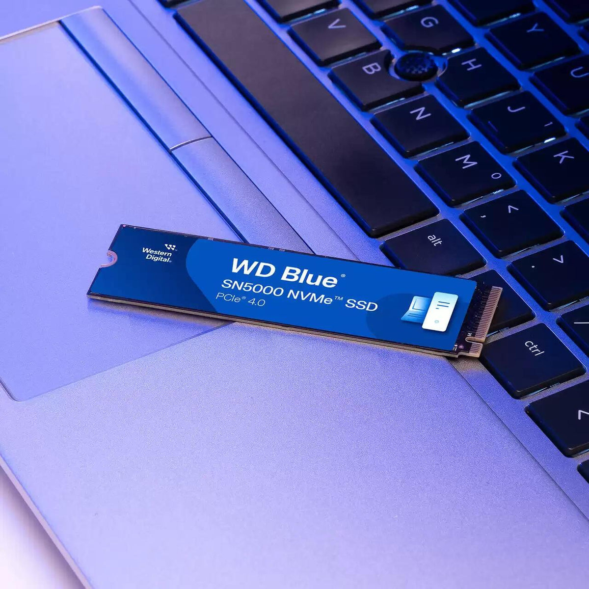 Western Digital M.2 SSD Blue SN5000 500GB (WDS500G4B0E-00CNZ0) Blue